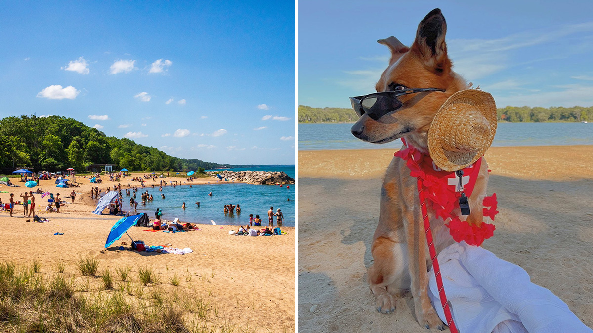 Life's a Beach: Guide to Lake County Beaches 2026